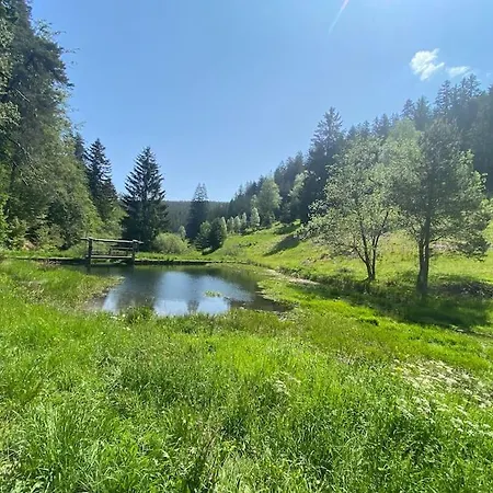 Apartament Bollenhut 1 Bad Wildbad Zewnętrze zdjęcie