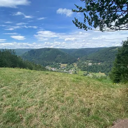 Apartament Bollenhut 1 Bad Wildbad Zewnętrze zdjęcie