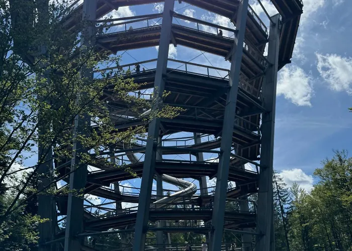 Bollenhut 1