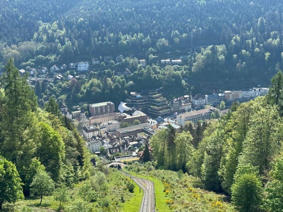 Bollenhut 1 Appartement Bad Wildbad