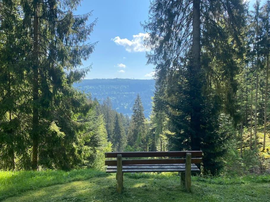 Bollenhut 1 Appartement Bad Wildbad