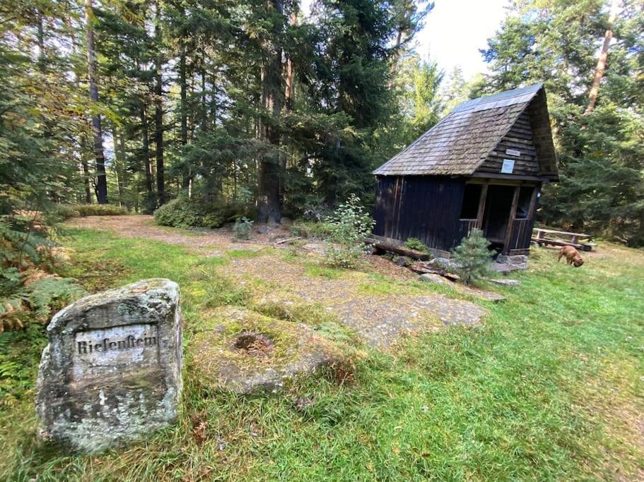 Appartement Bollenhut 1 *