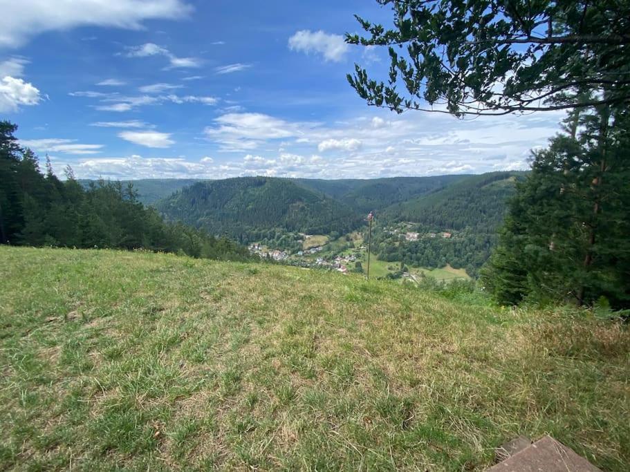 Bollenhut 1 * Bad Wildbad