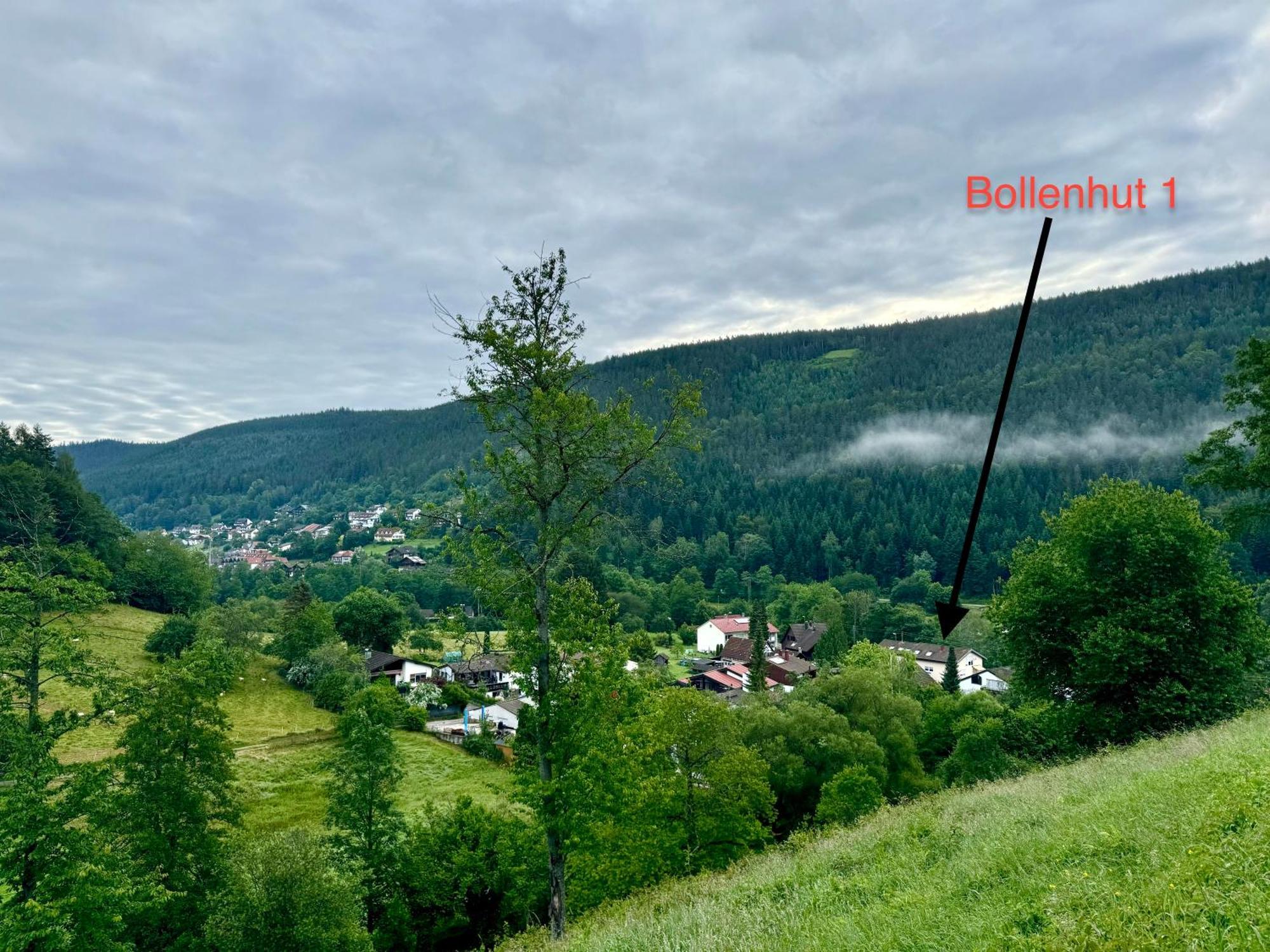 Appartement Bollenhut 1 Bad Wildbad