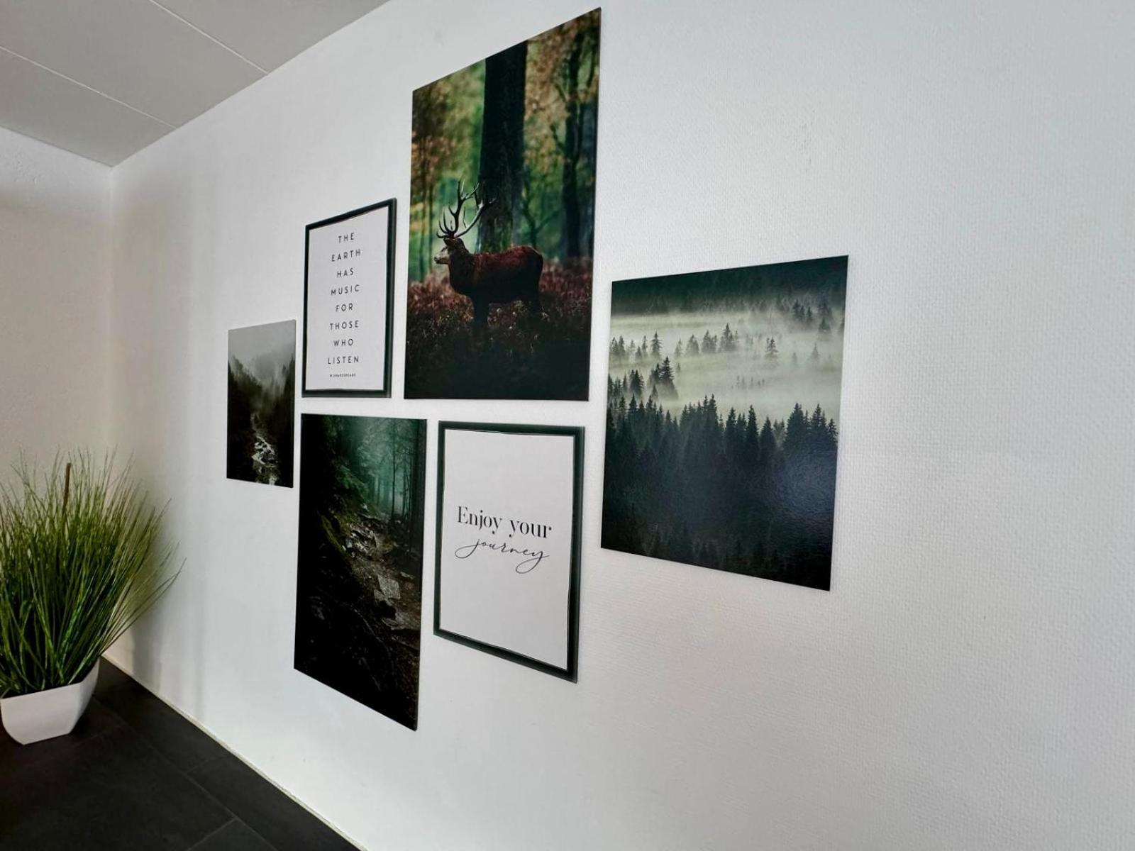 Appartement Bollenhut 1