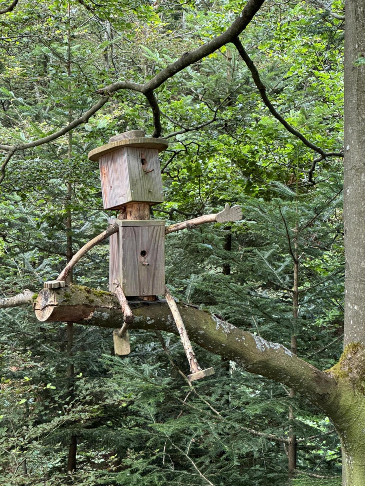 Bollenhut 1 *